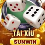 Sunwin Có Can Thiệp Kết Quả Tài Xỉu Hay Không?